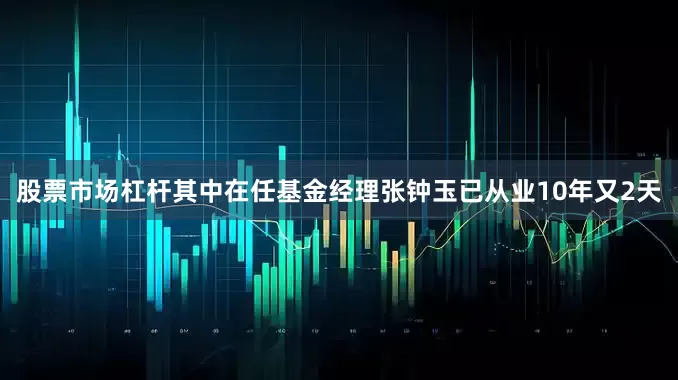 股票市场杠杆其中在任基金经理张钟玉已从业10年又2天