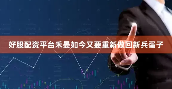 好股配资平台禾晏如今又要重新做回新兵蛋子